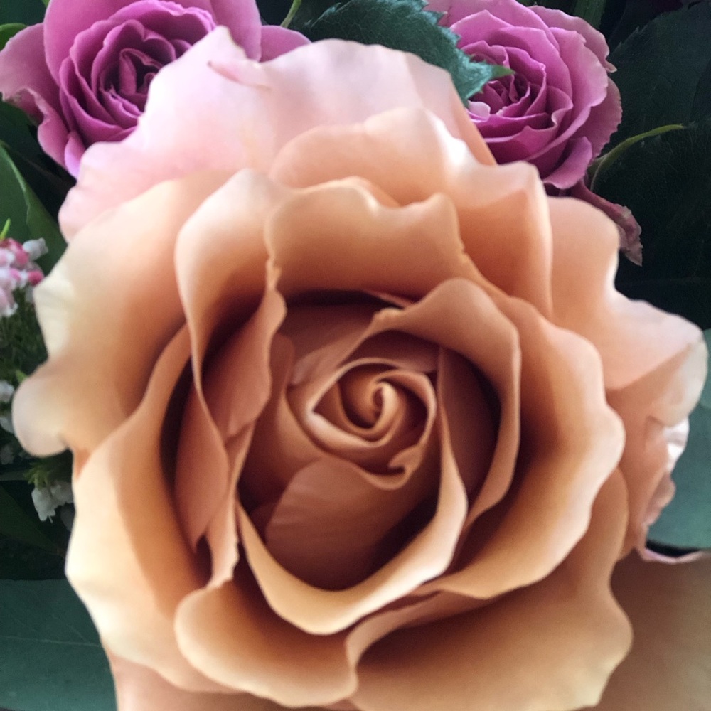 Meet your Posher, Krishna